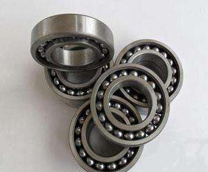 Bulk 306TN-Z Bearing